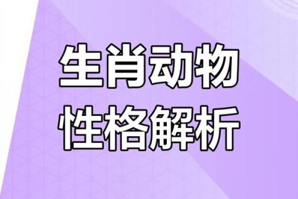 生肖性格揭秘：揭秘你的生肖性格密码