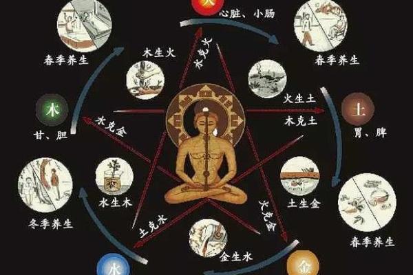 黑色五行：如何通过五行理论提升生活质量