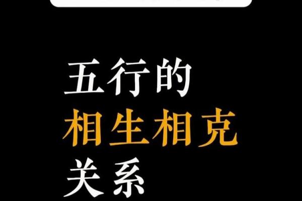 黑色五行：如何通过五行理论提升生活质量