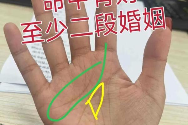 揭秘手相奥秘：太阳丘位置，你的运势如何？