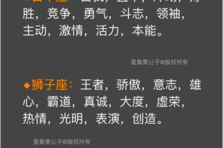 揭秘十二星座运势巅峰对决，谁是人生赢家？