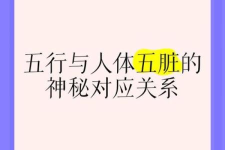 医疗行业五行属什么？揭开神秘面纱