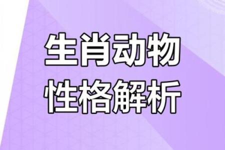 生肖性格揭秘：揭秘你的生肖性格密码