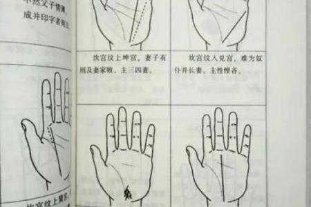 手相揭秘：离婚男人的感情线，究竟隐藏了哪些秘密？