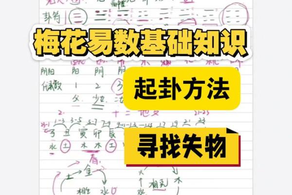 梅花易数排盘揭秘：如何通过这一古老方法了解人生走势