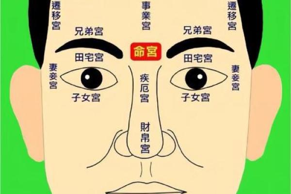 麻衣相法图解，痣相解析，让你看透人心