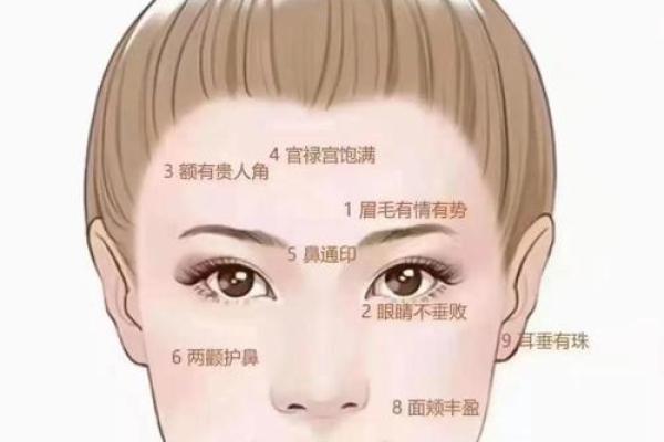 直眉藏富贵，面相揭秘财运亨通秘诀