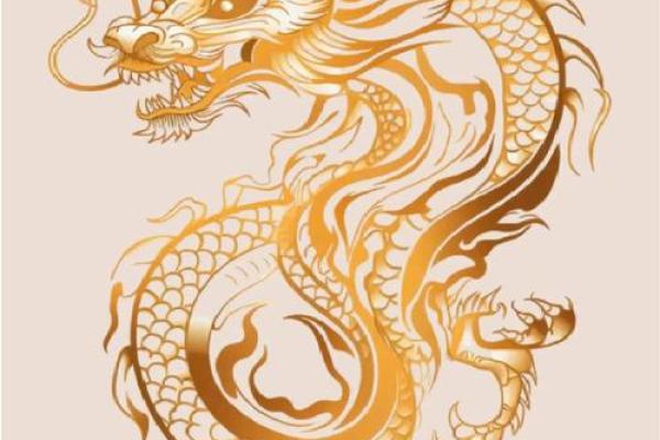 龙舞九天，真爱匹配见证神话传奇