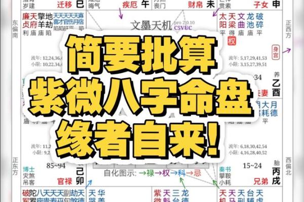 掌握紫微斗数排盘技巧，轻松解读人生运势