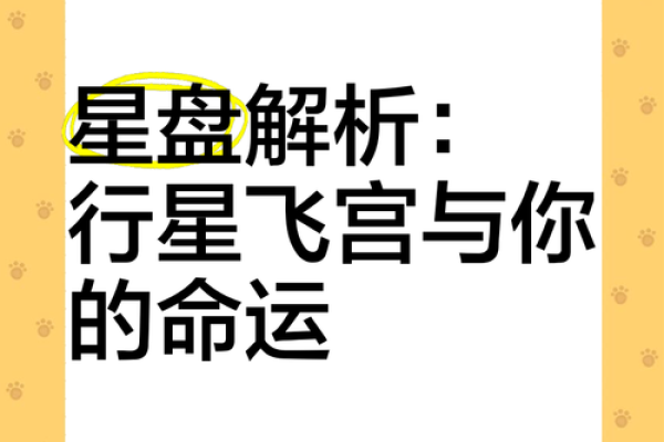 星盘面相解码：揭秘你的命运密码，精准预测未来