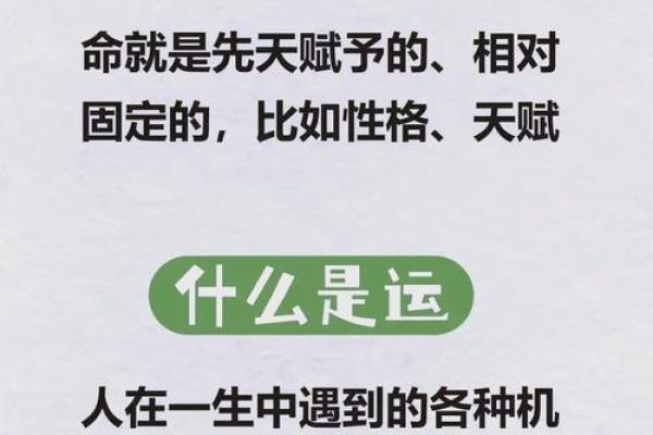 短命智慧线，揭秘命运之谜