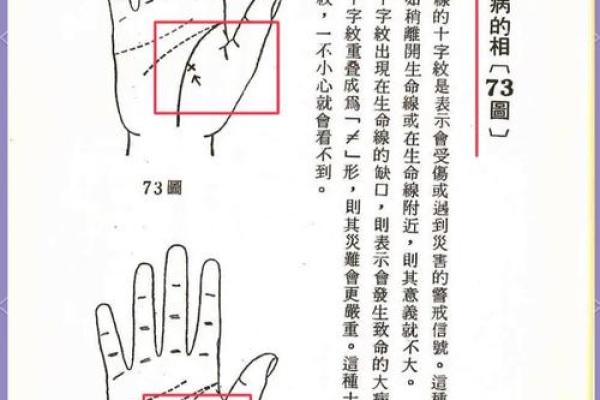M手相揭秘：掌握命运，揭秘财运、事业、健康秘密