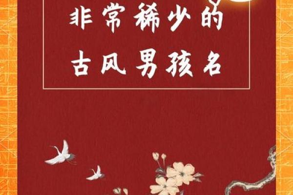 范姓宝宝名字大全，帮你轻松选出完美名字