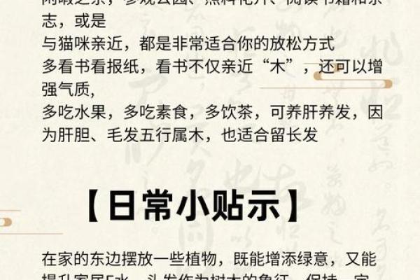 从华五行看人生：如何利用五行平衡事业与健康