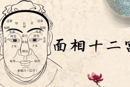 面相解析：揭秘格局大写的运势密码