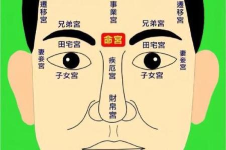 麻衣相法图解，痣相解析，让你看透人心