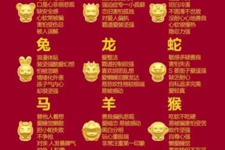 生肖运势揭秘：揭秘明星们的生肖秘密，谁才是生肖王者？