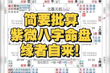 掌握紫微斗数排盘技巧，轻松解读人生运势