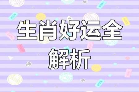 80后属相运势大揭秘：生肖魅力尽在此