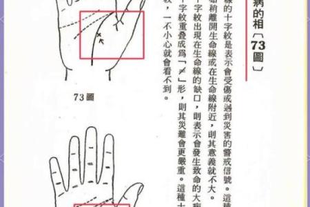 M手相揭秘：掌握命运，揭秘财运、事业、健康秘密