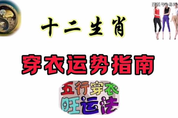生肖揭秘：揭秘你的生肖秘密，探寻学子的运势密码