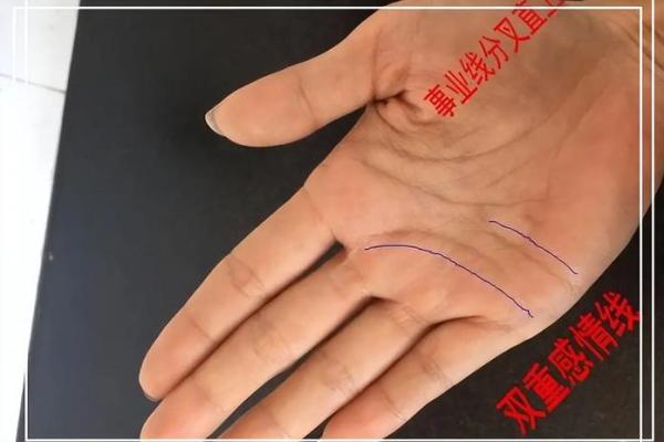 35岁手相揭秘：事业腾飞的秘密，掌握这些特征，你也能成为人生赢家