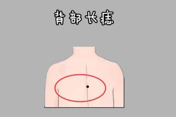 肩上神秘印记：揭秘女右肩胛骨痣的美丽传说