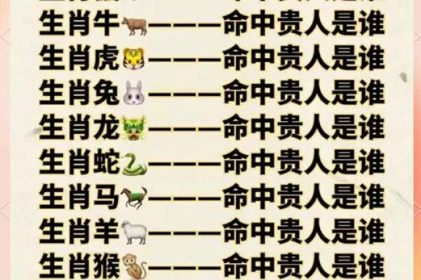 猪年红运：最佳生肖配对指南