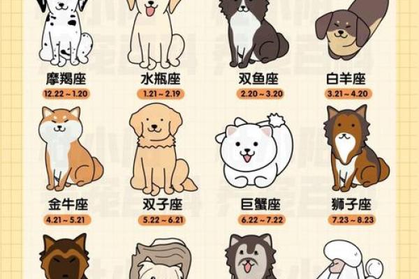 女猪男狗的婚姻：星座相配与性格差异