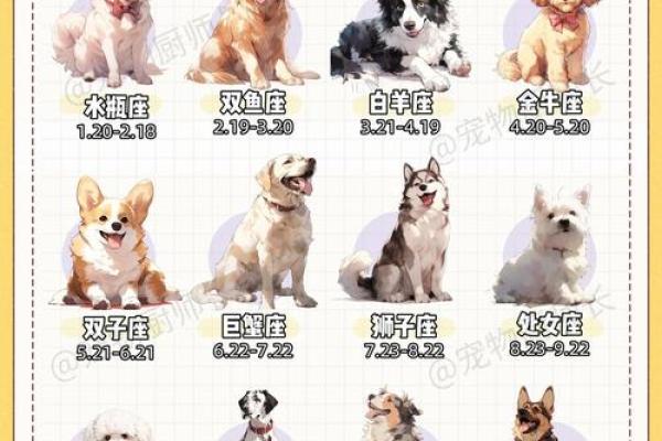 女猪男狗的婚姻：星座相配与性格差异