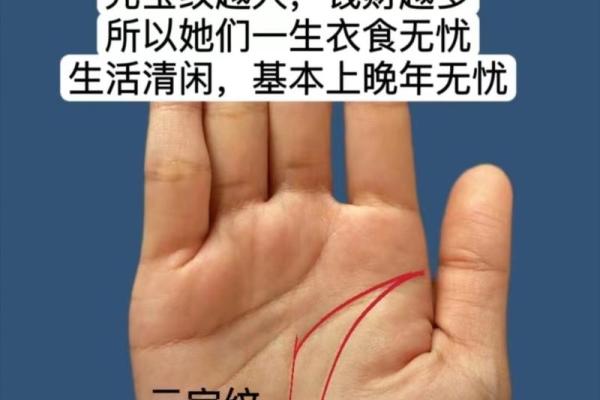 手握元宝，财运亨通揭秘手相攥宝秘诀，你也能招财进宝