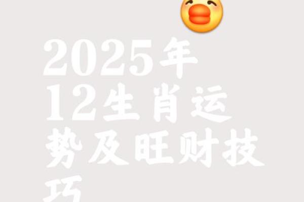生肖运势揭秘：揭秘你一生的运势密码