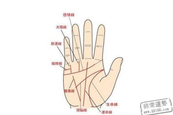 手相揭秘：生命线断裂，预示着什么命运转折？