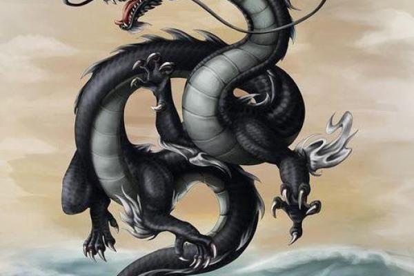 探秘龙的五行属性，如何影响命运