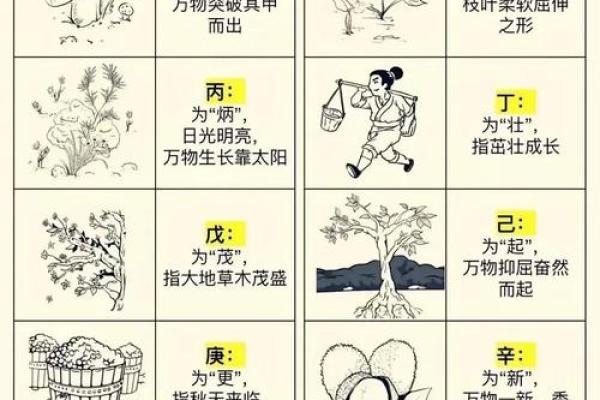 十天干藏象解读，让你看懂命运的脉络