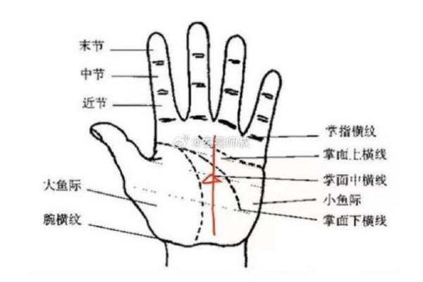 手相事业线副纹：揭秘财富运势的神秘密码