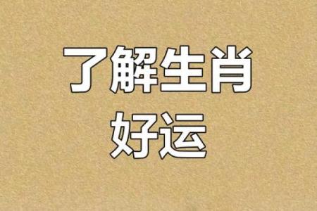 生肖揭秘：揭秘你的生肖秘密，探寻学子的运势密码
