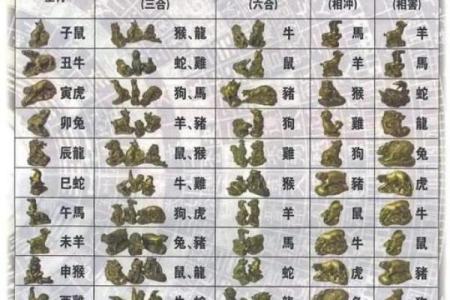 猪年红运：最佳生肖配对指南