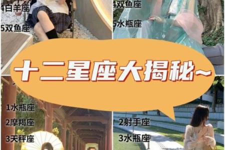 揭秘：如何轻松掌握十二星座的秘密