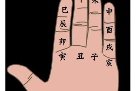 手变软与命理的惊人联系，揭开命运的神秘面纱