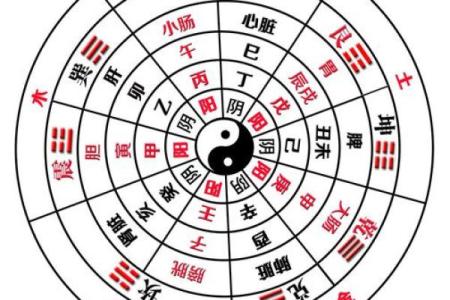十天干藏象解读，让你看懂命运的脉络