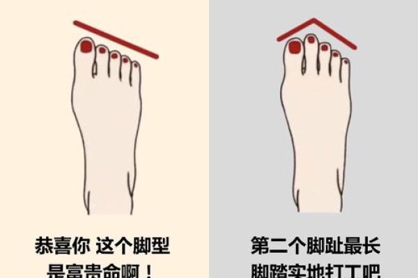 富贵命揭秘：揭秘最适合你的黄金脚型