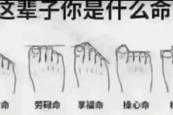 富贵命揭秘：揭秘最适合你的黄金脚型