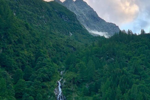 山间水命：揭秘隐匿自然的神秘生命