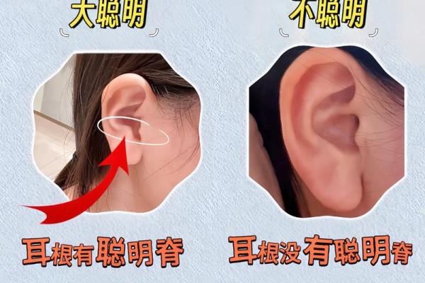 耳型面相揭秘：读懂你的命运密码