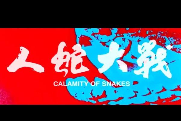 龙蛇混杂，生肖大战：谁主沉浮？