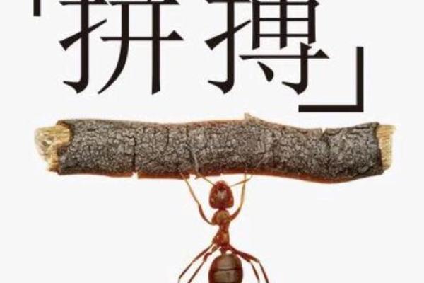 命理学告诉你未来的孩子数量