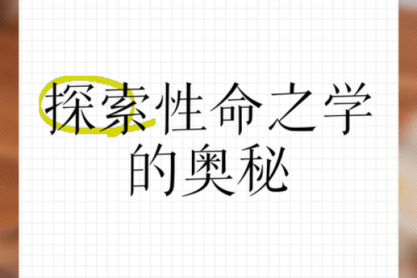 探索命理学的奥秘，哪一门最能帮助你解答人生问题