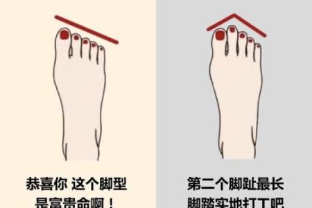富贵命揭秘：揭秘最适合你的黄金脚型