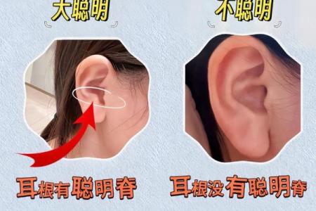 耳型面相揭秘：读懂你的命运密码